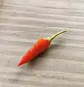 Capsicum annum L. var. fasciculatum Irish.