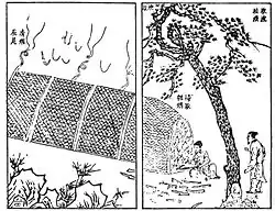 Image from the 17th-century technical document Tiangong Kaiwu detailing how pine is burned in a furnace at one end and its soot collected at the other for making inkstick (松烟制墨法), China.
