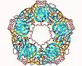 C-reactive protein