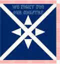 32nd Texas Cavalry Wood's Regiment. (1862)