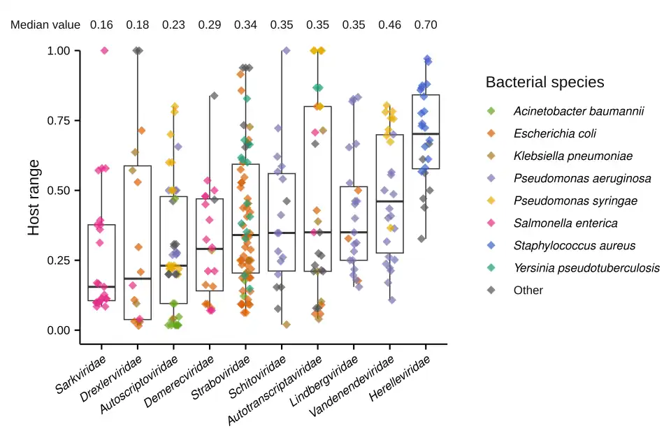 Proportions of bacterial strains supporting bacteriophage replication grouped by bacteriophage families