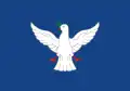Flag of Salvador