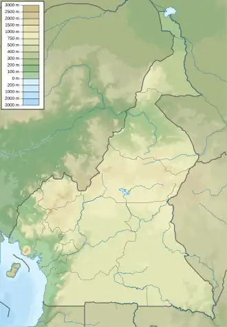 Douala is located in Cameroon
