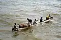 Indian split-log fishing canoe