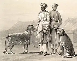 A hieroglyph depicting two leashed cheetahs