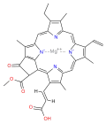 chlorophyll c1