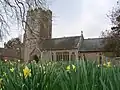 Stone building with prominent square tower. In the foreground are daffodils.