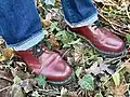 Dr. Martens 1461 oxblood & Levi's 501