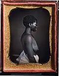 Drana daughter of Jack on B.F. Taylor Plantation, Columbia South Carolina [Picture # 2]