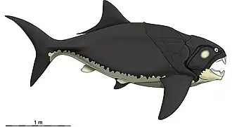 Dunkleosteus, one of the largest armoured fish ever to roam the planet, lived during the Late Devonian