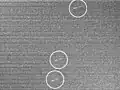A noisy image showing a few bright dots marked by circles