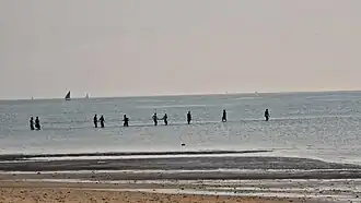 Fishers standing far from shore in shallow water while hauling a communal net.