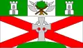 Flag of Rathmines and Rathgar Urban District Council (1929–1930)