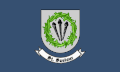 Flag of Saint Saviour
