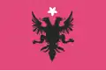 Flag of Kosovo used by Committee "National Defence of Kosovo" 1918.