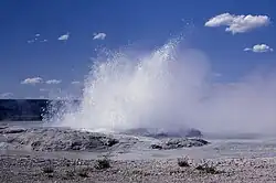 Geyser erupts up and blows sideways from a pool.
