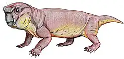 Geikia elginensis