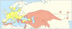 Map of the distribution of both naturally occurring and introduced tulips