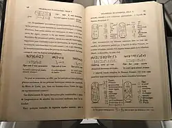 Photography of an old open book, its pages yellow-brown, showing some hieroglyphs and a text explaining how to translate them.