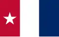 This banner was carried by volunteers comprising Capt. Andrew Robinson's company from Harrisburg and designed by Sarah Rudolph Bradley Dodson in September 1835 for her husband, 1st Lt. A. B. Dodson and colleagues[28]