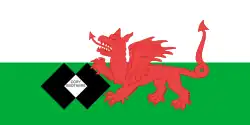 House flag of Cory Brothers[60]