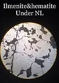 Ilmenite and hematite under normal light