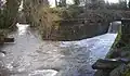 Two stream channels join below land covered with trees and shrubs and protected by a stone wall. The wall, about six feet (two meters) high, extends across the right-hand stream channel, which plunges over the wall. Downstream, the combined channels are about 30 feet (9 meters) wide and turbulent.