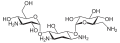 Kanamycin A