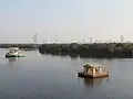 Mangrove forests of Karachi, Pakistan