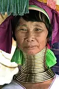 The Kayan people of Burma (Myanmar) associate the wearing of neck rings with feminine beauty.[59]