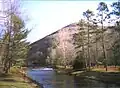 A stream flows between several trees with a pyramidal-shaped mountain in the background