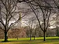 Friedenspark