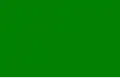 1812–1813 The flag of the Gutiérrez–Magee Expedition, sometimes called the "first Republic of Texas", which encompassed land from San Antonio to Nacogdoches and Goliad.[28]