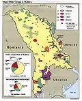 Major ethnic groups in MSSR in 1989