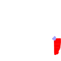 Flag of Miami