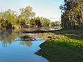 Maranoa River at Mitchell, 2005