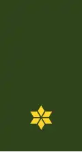 Tweede Luitenant (Suriname Army)[49]