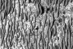 Opportunity (circled) as seen by HiRISE on January 29, 2009. Endeavour Crater is 17 km (11 mi) away.