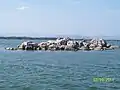 Parikuda Island