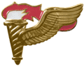 Pathfinder Badge[65]