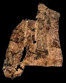 Tattoos of the chief's back and left arm.[231]