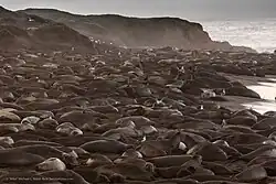 Piedras Blancas