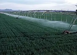 Center pivot with drop sprinklers