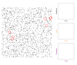 Discrete example of predator prey model[71]