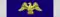 Presidential Medal of Freedom with Distinction (ribbon)