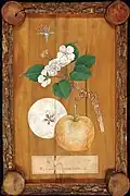 Japanese pearwood panel, Kew Gardens