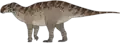 Qianjiangsaurus changshengi