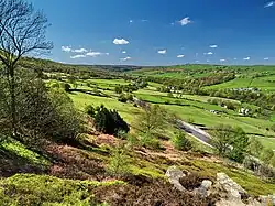 Rivelin Valley