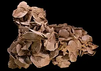 Desert rose, 47&nbsp;cm long
