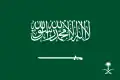 Royal Standard of the Crown Prince of Saudi Arabia